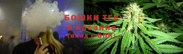 сатива Алексеевка