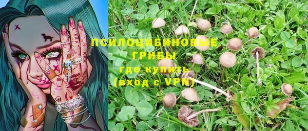 сатива Алексеевка