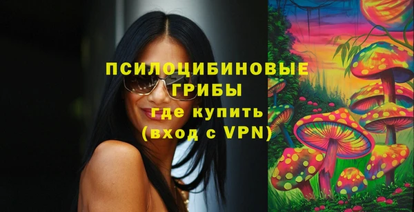 сатива Алексеевка