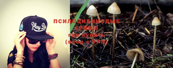 спайс Михайлов