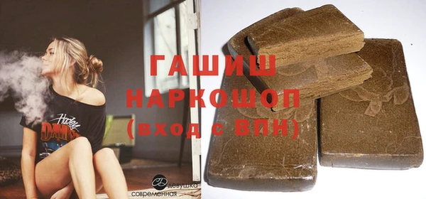 индика Михайловск